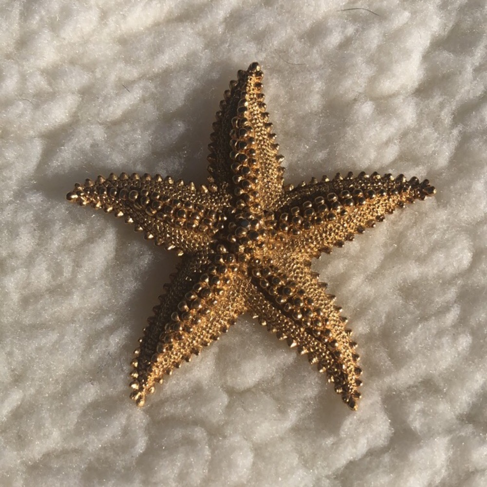 Golden Starfish Brooch